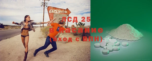 PSILOCYBIN Бугульма