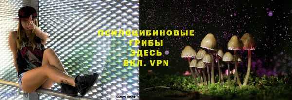 герыч Бородино