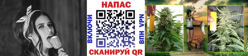 Конопля Ganja  Янаул 